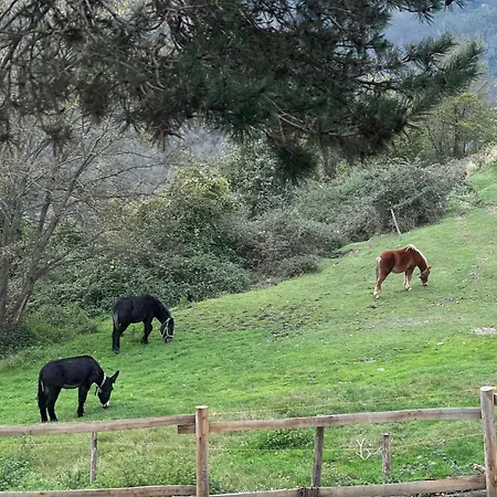 Cascina Chire Luxussátor