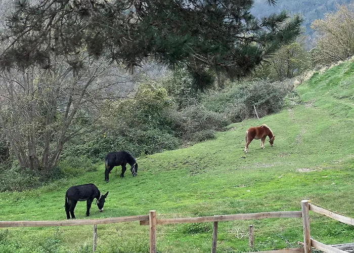 Cascina Chire Lyxtält
